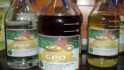 Harga CPO Melonjak! Belawan Tembus Rp14.575/kg, Sinyal Positif untuk Industri Sawit